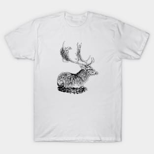 Fallow deer T-Shirt